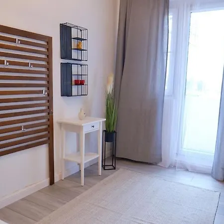 Joy Versului 8 * ティミショアラ