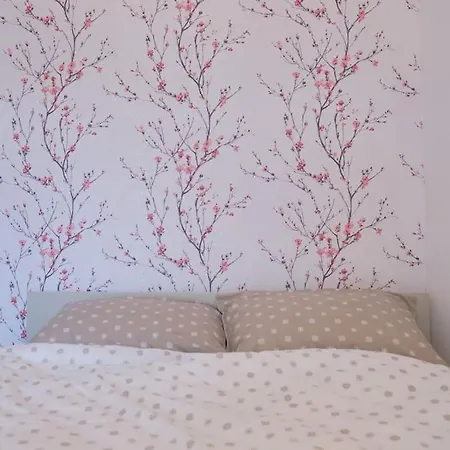 Joy Versului 8 Apartmán Temešvár