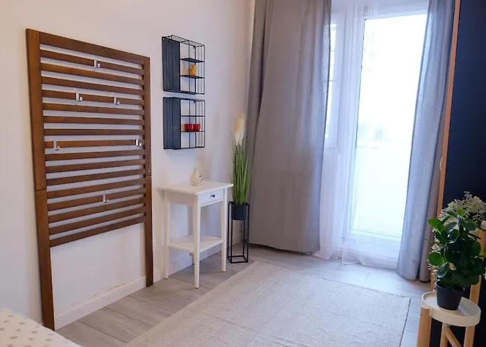 Joy Versului 8 * Timisoara