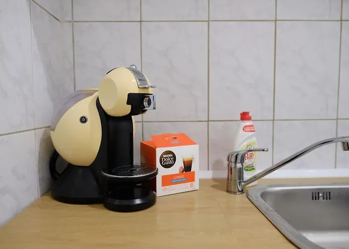 Joy Versului 8 ティミショアラ